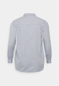 Camicia a righe blu chiaro e bianca, con maniche lunghe, colletto classico e polsini abbottonati. Tessuto morbido, vestibilità rilassata.