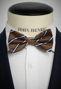 Brun och blå randig fluga i textil med struktur, utställd på en mannekäng med en vit skjorta och mörk kostymjacka.