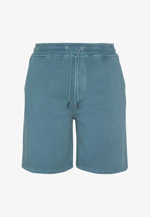 Shorts décontractés bleus avec taille élastique, cordon ajustable et poches latérales, présentés de face sur fond blanc.