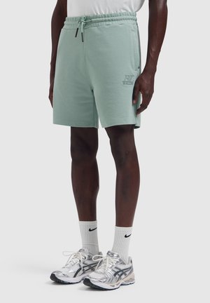 Mann trägt hellgrüne Shorts mit Kordelzug, weiße Nike Socken und silberne Asics Laufschuhe, steht auf weißem Hintergrund.