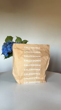 Una bolsa de papel marrón con el texto blanco "CALZEDONIA" repetido se encuentra sobre una superficie blanca al lado de flores de hortensia azules con hojas verdes.