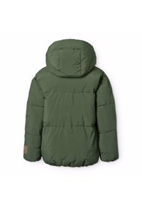 Molo HAYDEN JACKET UNISEX - Giacca invernale - dark forest