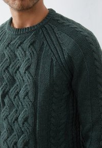 Maglione lavorato a maglia verde scuro con dettagli intricati a treccia, colletto rotondo e finitura testurizzata. Progettato per una vestibilità comoda.