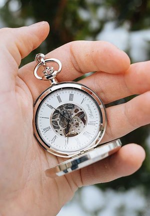 Waidzeit, TASCHEN KOLLEKTION - Watch - braun- und silberfarben