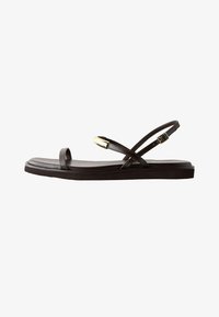 Neselectat, chocolate brown