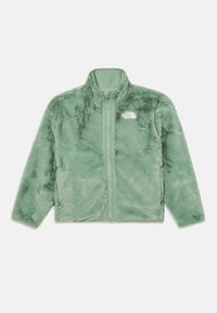 Fleecejacka i ljusgrön med heldragkedja, hög krage och The North Face-logotyp på vänster bröst; mjuk textur, avslappnad design.