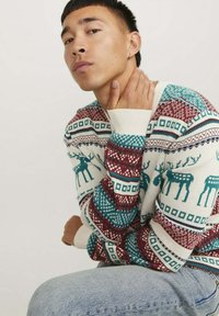 Gebreide trui met een multicolore Fair Isle patroon met rendieren, in turquoise, rood en roomkleur. Geribde manchet en kraag.