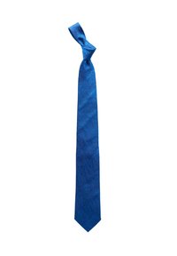 HÖGTIDLIG PAISLEYMÖNSTRAD - Solmio - blue