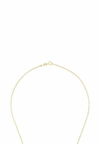 Guldhalsband med en tunn, vriden design och hänglås, som visar en jämn struktur och enhetlig färg.