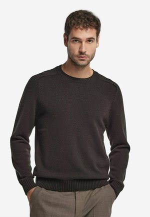 ULTRASOFT ROUND NECK - Strickpullover - brown