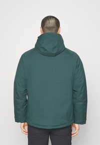 Jack Wolfskin TROPOSPHERE INS JACKET - Giacca invernale - black olive