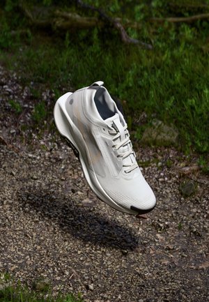 PEGASUS TRAIL 5 GORE-TEX - Chaussures de running - vast grey/sanddrift/summit white/black