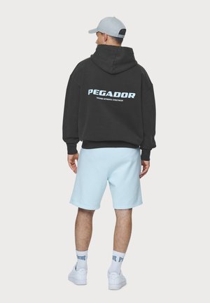 Pegador COLNE LOGO HOODIE - Hoodie - washed black