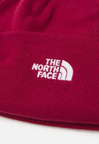 The North Face NORM SHALLOW BEANIE - Čepice - beetroot
