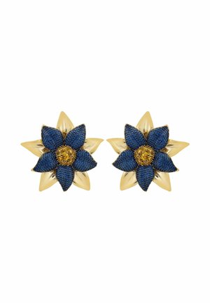 Earrings - blue