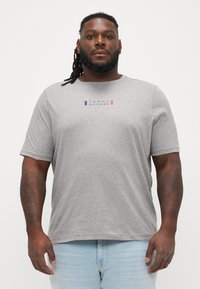 Szara koszulka z krótkim rękawem z bawełny. Posiada logo "TOMMY HILFIGER" w kolorze niebieskim, czerwonym i białym, umieszczone na środku klatki piersiowej. Casualowy, luźny krój.