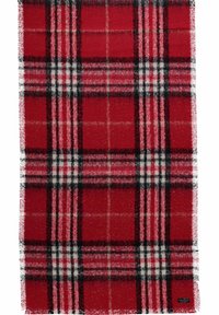 Punainen ja musta ruutuinen peitto, jossa on valkoisia yksityiskohtia, valmistettu pehmeästä materiaalista, jossa on hapsu reunat ja karhea, pörröinen texture.