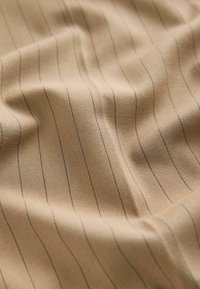 Tessuto in una tonalità beige con sottili righe verticali nere, caratterizzato da una superficie liscia e una caduta delicata.