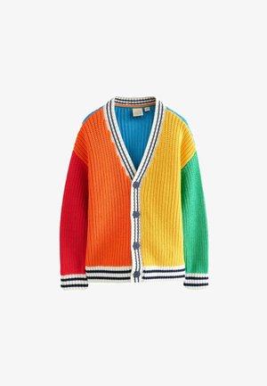 REGULAR FIT - RAINBOW  - Vesta na kopčanje - multi