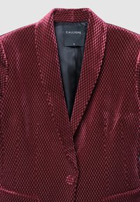 Blazer in velluto bordeaux con motivo a diamante testurizzato, revers a punta, chiusura con un bottone e fodera interna nera. Etichetta del marchio visibile.