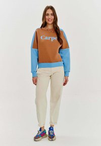 Brązowy i niebieski sweter w blokach kolorystycznych z napisem "Carpet", w zestawieniu z kremowymi spodniami i wielokolorowymi sneakersami. Miękki, casualowy fason.