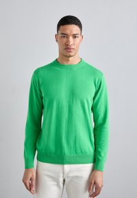 KNITID CASHMERE BLEND PLAIN CREW NECK - Strikkegenser - green flash