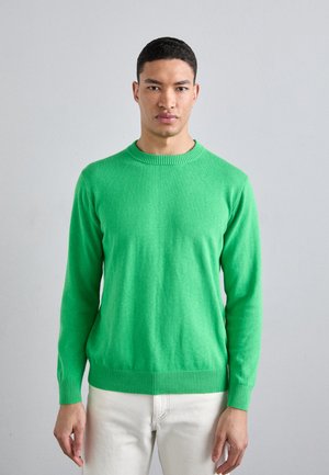 CASHMERE BLEND PLAIN CREW NECK - Svetr - green flash