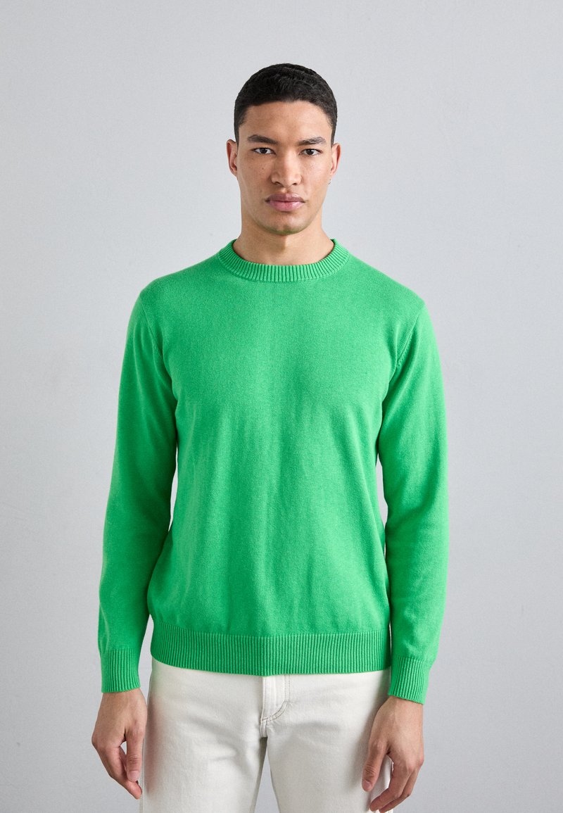 KNITID CASHMERE BLEND PLAIN CREW NECK - Strikkegenser - green flash