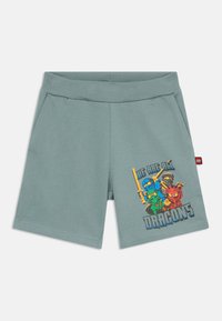 Gray-green shorts made of soft fabric, featuring a colorful graphic of characters and the text "WE ARE ALL DRAGONS" on the front.