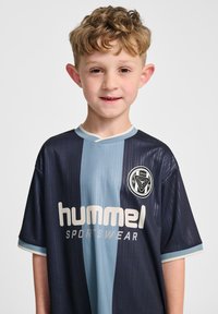 Marinblå och ljusblå sporttröja med vertikala ränder, korta ärmar och rund halsringning. Har en logotyp på bröstet och en mjuk textur.