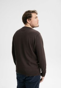 MELA HIMAL - Strickpullover - dunkelbraun