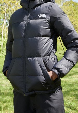 Doudoune noire avec le logo The North Face portée en extérieur, personne debout les mains dans les poches devant un fond d’arbres verts et d’herbe.