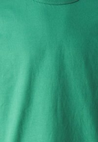 Grønn bomull t-skjorte med rund hals. Stoffet er glatt og matt, med en jevn ensfarget farge uten mønstre eller dekorasjoner.