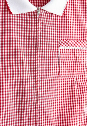 SCHOOL GINGHAM ZIP - Nappali ruha - red