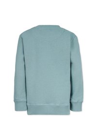 Mintgrön sweatshirt med rundad halsringning, ribbade manschetter och nederkant. Har en slät yta och en enkel design utan synliga logotyper eller mönster.