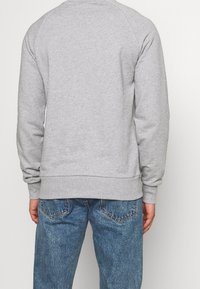 Felpa grigia in cotone con polsini e orlo a coste, con un classico collo a giro e maniche raglan. Indossata sopra un paio di jeans in denim blu.