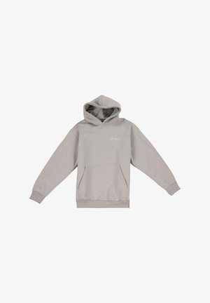 Dropsize Hoodie - flint