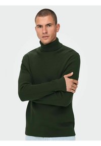 Pulover cu guler înalt ribat de culoare verde închis, cu mâneci lungi, textură moale și un design ajustat. Modelul stă cu brațele încrucișate pe un fundal simplu.