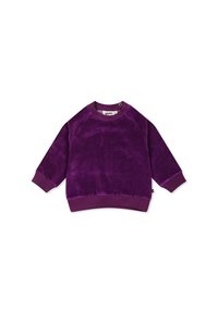 Sudadera in velluto viola con maniche lunghe, collo rotondo e polsini a coste. Tessuto liscio con una vestibilità leggermente ampia e senza disegni.