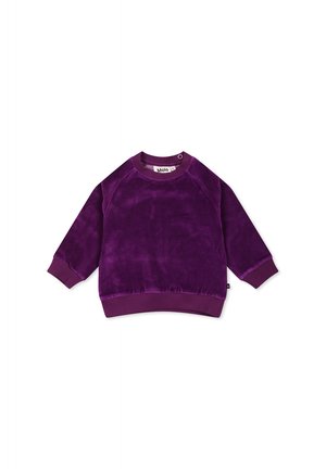 Sudadera in velluto viola con maniche lunghe, collo rotondo e polsini a coste. Tessuto liscio con una vestibilità leggermente ampia e senza disegni.