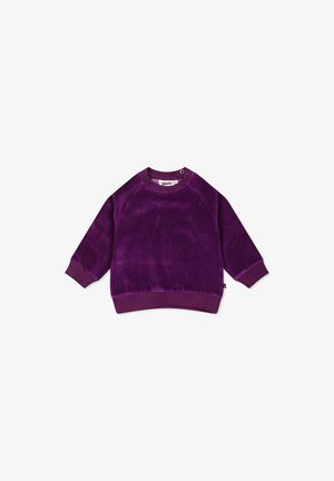 Sudadera in velluto viola con maniche lunghe, collo rotondo e polsini a coste. Tessuto liscio con una vestibilità leggermente ampia e senza disegni.
