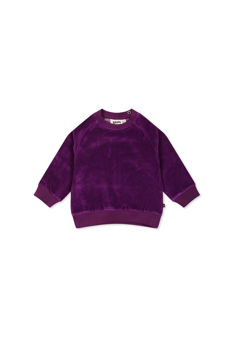 Sudadera in velluto viola con maniche lunghe, collo rotondo e polsini a coste. Tessuto liscio con una vestibilità leggermente ampia e senza disegni.