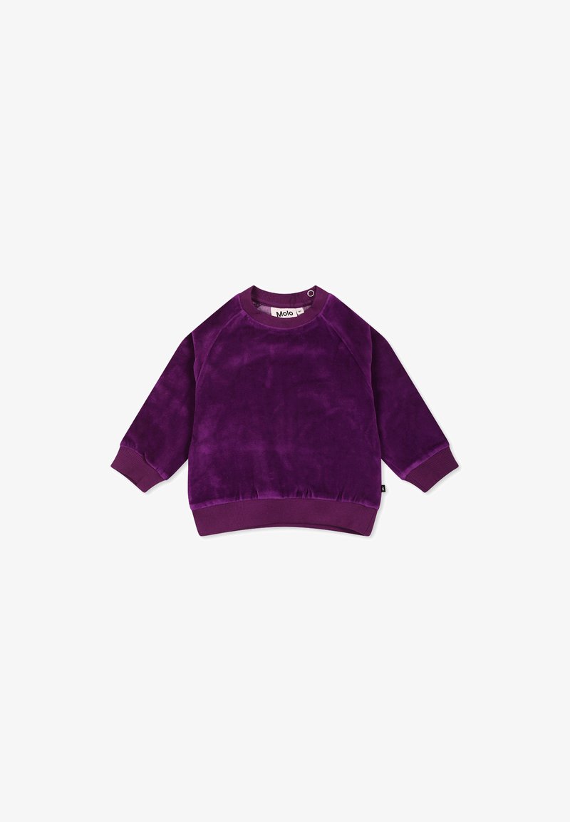 Sudadera in velluto viola con maniche lunghe, collo rotondo e polsini a coste. Tessuto liscio con una vestibilità leggermente ampia e senza disegni.