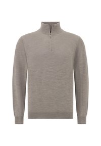 Hall pullover-sveitser hallis hõbedase värviga, kõrge krae ja veerandi lukuga, valmistatud pehmest, tekstuuriga kangast. Pikkade varrukatega, millel on soonikkoes mansetid ja äär.