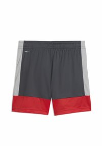 Σκούρα γκρι αθλητικά σορτς με ανοιχτό γκρι πλαϊνές λωρίδες και κόκκινα τελειώματα από δίχτυ, με ελαστική μέση και το κείμενο "DRYCELL" στην αριστερή πλευρά.