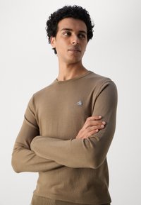 Bruine lange mouwen trui van zacht materiaal, met een ronde hals en een klein blauw logo op de borst. Gladde textuur, aansluitend ontwerp.
