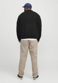 Jack & Jones JORVESTERBRO QUARTER ZIP - Felpa - black