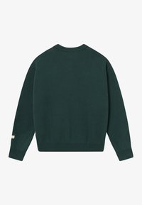 Green cotton sweater, featuring a round neckline, long sleeves, and ribbed cuffs and hem. Smooth texture with no visible patterns or hardware.