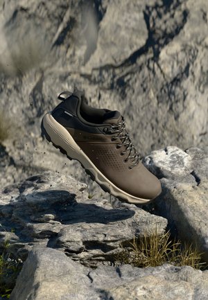 Columbia NEWTON NIMBLE - Hikingschuh - tundra/black