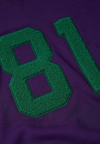 Tela morada con un gran número "81" en color verde, de forma rectangular. El número tiene una textura suave y esponjosa, con bordes cosidos.